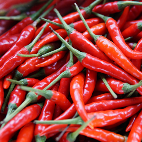 Chilli